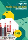 Statistics Of Large And Medium Industries Lampung Province 2019