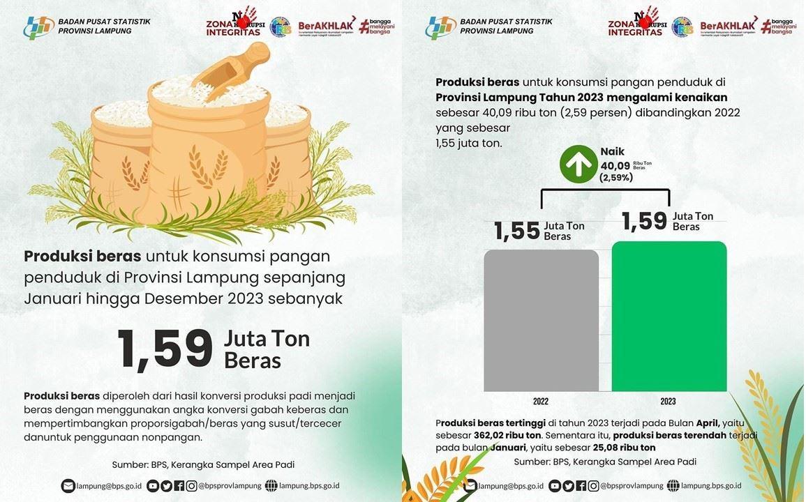 Produksi Beras Tahun 2023 sebanyak 1,59 Juta Ton di Provinsi Lampung