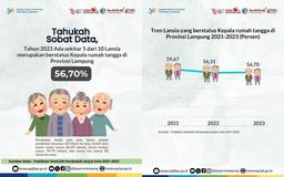 5 dari 10 Lansia di Provinsi Lampung Berstatus Kepala Keluarga pada Tahun 2023