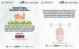 13% Perempuan Usia Subur Melahirkan Anak Lahir Hidup dengan Berat Badan Lahir Rendah Tahun 2023