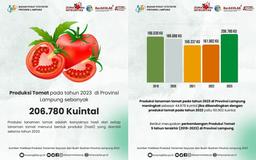 Tomato Production in 2023 in Lampung Province is 206,780 Quintals