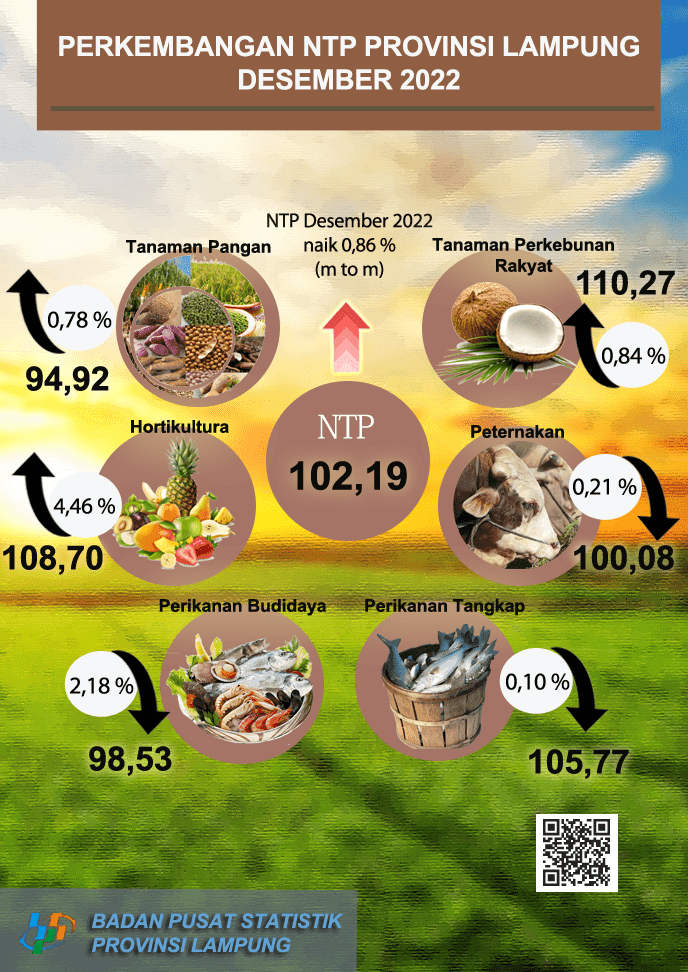 Development of Farmers' Exchange Rate in Lampung Province December 2022