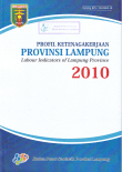 Profil Ketenagakerjaan Provinsi Lampung 2010