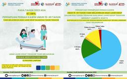 67,58% Perempuan Pernah Kawin Umur 15-14 Tahun Melahirkan Anak Lahir Hidup dalam Dua Tahun Terakhir