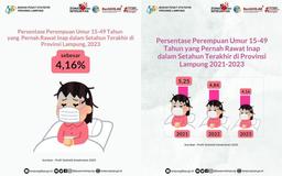 Tahun 2023, 4,16% Perempuan Umur 15-49 Tahun Pernah Rawat Inap dalam Setahun Terakhir