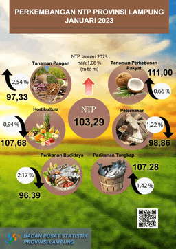 Perkembangan Nilai Tukar Petani Provinsi Lampung Januari 2023