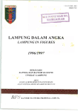 Provinsi Lampung Dalam Angka 1996