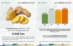 Produksi Kencur pada tahun 2023 di Provinsi Lampung sebanyak 6.042 Ton.