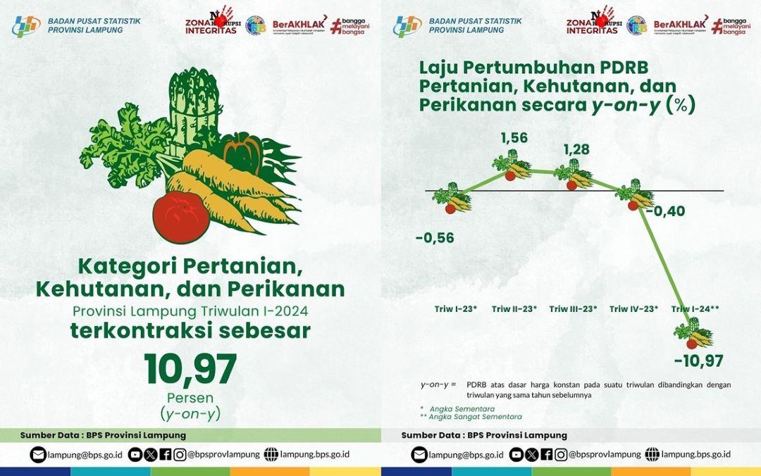 The Agriculture, Forestry, and Fisheries Sector Contracted by 10.97 percent in the 1st Quarter