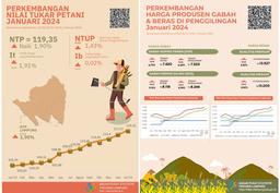 NTP Provinsi Lampung Januari 2024 Sebesar 119,35 Atau Naik 1,90 Persen Sedangkan Harga GKG Di Tingkat Petani Naik 6,64 Persen Dan Harga Beras Premium Di Penggilingan Naik 2,26 Persen