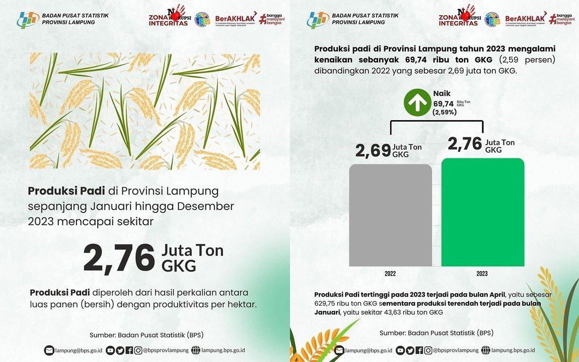 Rice Production in Lampung Province in 2023 Will Reach Around 2.76 Million Tons of Dry Milled Grain