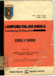 Provinsi Lampung Dalam Angka 1991