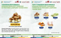 The Biopharmaceutical Plant with the Largest Production in Lampung Province in 2023 is Galangal