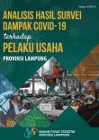 Analisis Hasil Survei Dampak COVID-19 terhadap Pelaku Usaha Provinsi Lampung