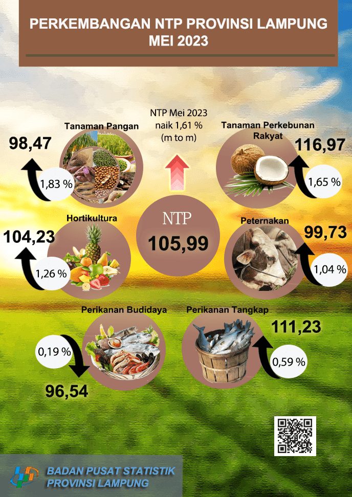 Development of Farmers' Exchange Rate in Lampung Province in May 2023