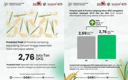 Produksi Padi di Provinsi Lampung Tahun 2023 Mencapai Sekitar 2,76 Juta Ton Gabah Kering Giling