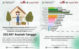 Rumah Tangga Usaha Pertanian Terbanyak Ada di Kabupaten Lampung Tengah 