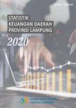 Financial Statistics In Lampung Province 2020