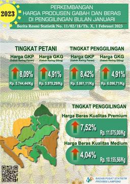 Development Of Grain And Rice Producer Prices In Lampung Province January 2023