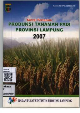 Rice Crop Production In Lampung Province 2007