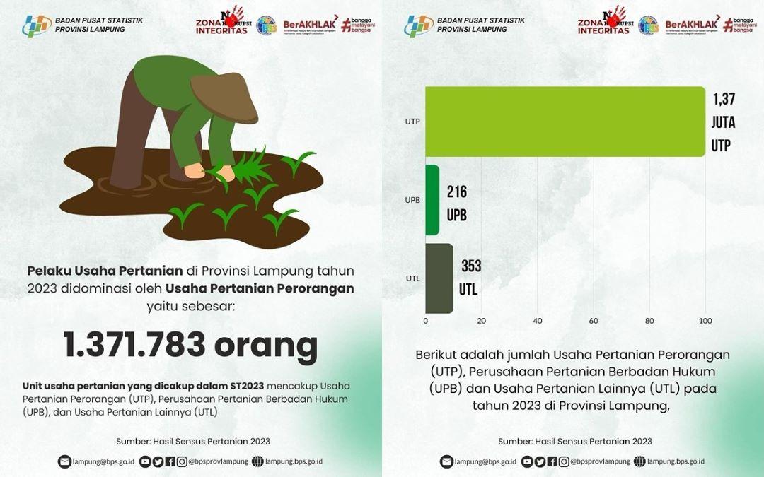 Pelaku Usaha Pertanian di Provinsi Lampung tahun 2023 idominasi oleh Usaha Pertanian Perorangan