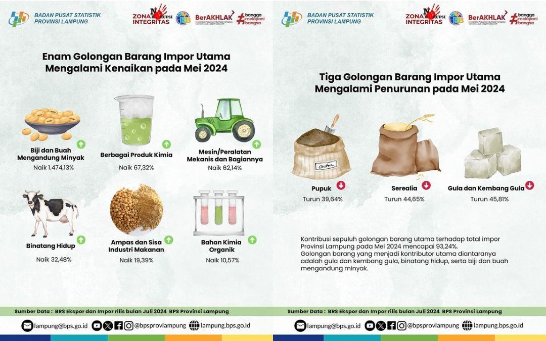 Golongan Barang Impor Utama yang mengalami Kenaikan dan Penurunan pada Mei 2024