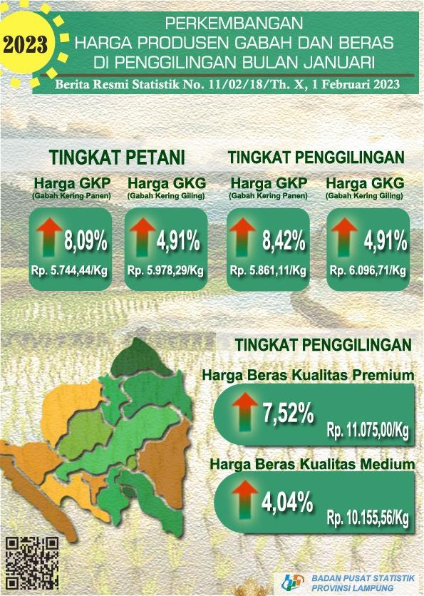 Perkembangan Harga Produsen Gabah dan Beras Provnsi Lampung Januari 2023