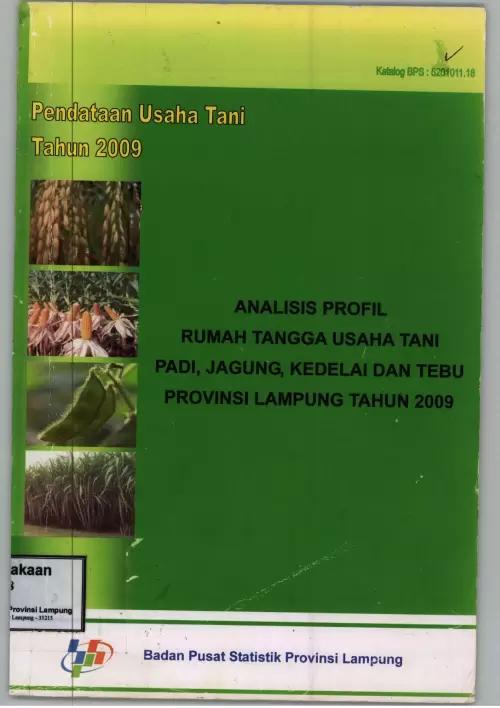 Analisis Profil Rumah Tangga Usaha Tani Padi, Jagung, Kedelai, Dan Tebu Provinsi Lampung 2009