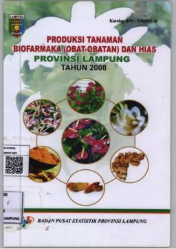 Produksi Tanaman Biofarmaka (Obat-Obatan) Dan Hias Provinsi Lampung 2008