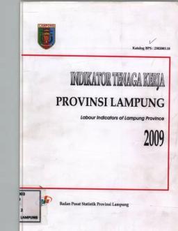 Lampung Province Labor Indicators 2009