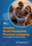 Lampung Province Population Profile Analysis