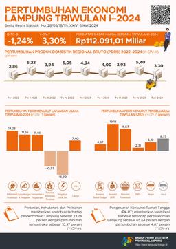 Lampung Economic Growth Quarter I-2024