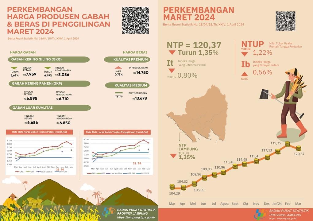 NTP Provinsi Lampung Maret 2024 sebesar 120,37 atau turun 1,35 persen, Harga GKG di Tingkat Petani turun 6,62 persen, dan Harga Beras Premium di Penggilingan naik 0,72 persen.