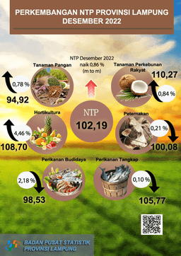 Perkembangan Nilai Tukar Petani Provinsi Lampung Desember 2022
