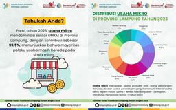 Distribution of Micro Businesses in Lampung Province in 2023