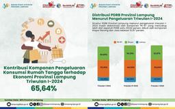 Kontribusi Konsumsi Rumah Tangga Triwulan I - 2024 pada PDRB