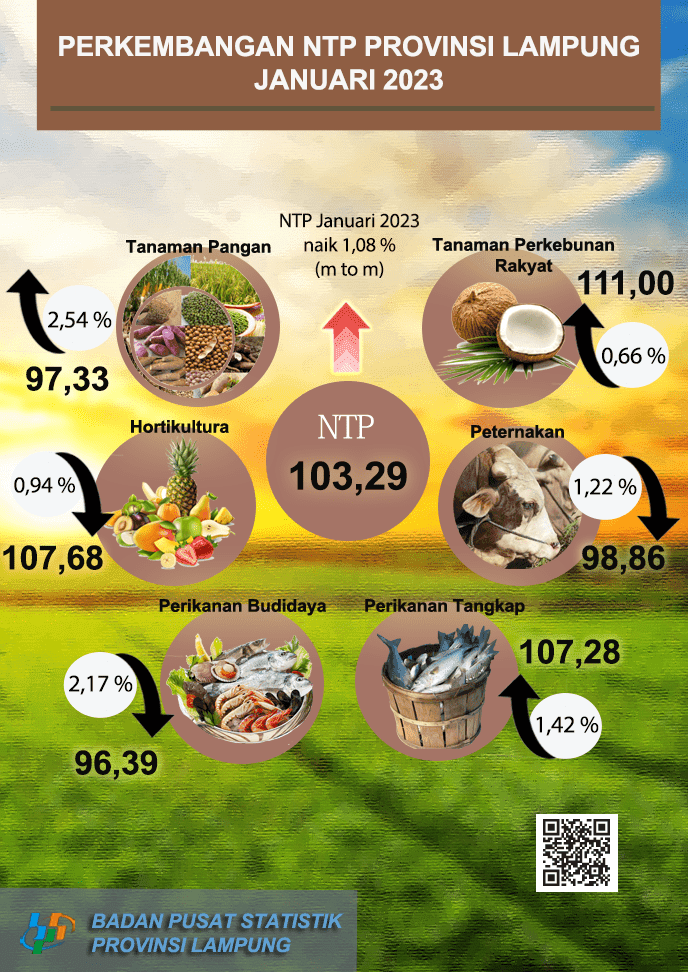 Development of Farmers' Exchange Rate in Lampung Province January 2023