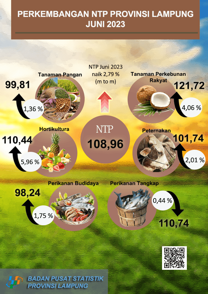 Development of Lampung Province Farmers Exchange Rate June 2023