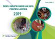 Profil Industri Mikro dan Kecil Provinsi Lampung 2019